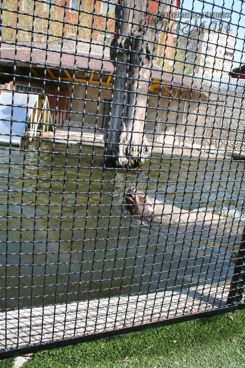 IMG_0732_r